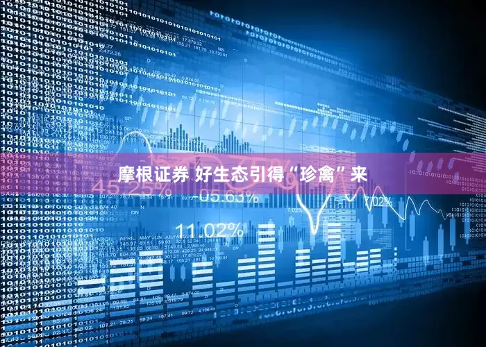 摩根证券 好生态引得“珍禽”来